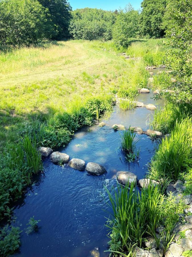 Landhaus Mit Pool, Bungalow In Der Natur Hohenbollentin Esterno foto